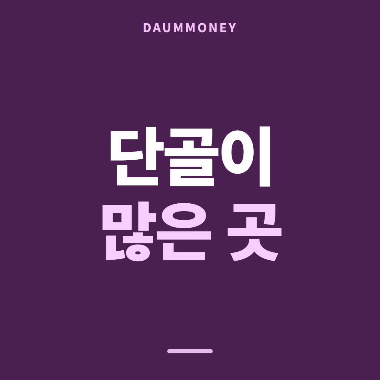 다음머니 농협카드깡 칸 이름 붙이기 안내 배너